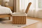 Cesta Tampa - Vista Lateral